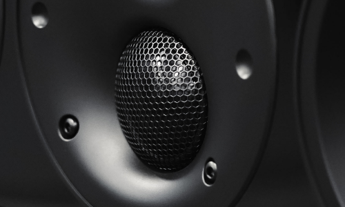 Zoomed image of speaker